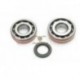 KK01006 - Kit cuscinetti paraoli di banco Suzuki Burgman 250/400 cc